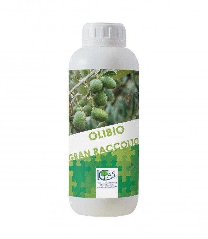 OLIBIO - Icas International - Combi olivo
