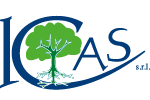 Icas s.r.l.  
